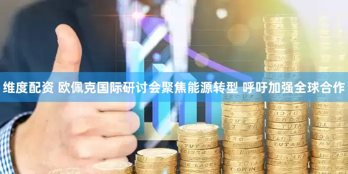 维度配资 欧佩克国际研讨会聚焦能源转型 呼吁加强全球合作